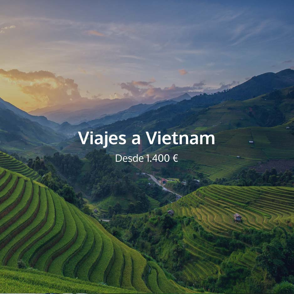 Web de Directia Travel