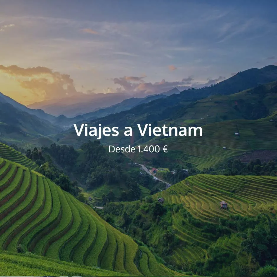 Web de Directia Travel