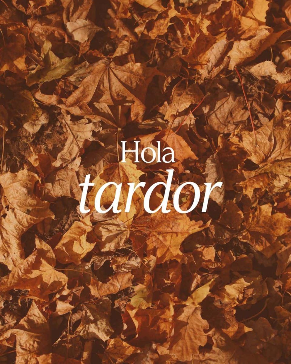 Material gràfic per l'Instagram: Hola tardor